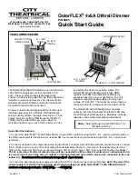 City Theatrical QolorFLEX 4x5A DINrail Dimmer Quick Start Manual preview