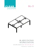 CLEAR DESIGN BL-3 General Manual preview