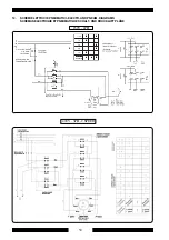 Preview for 51 page of Cormach CM 550 Use And Maintenance Manual