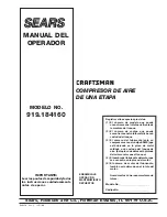 Preview for 19 page of Craftsman 919.184160 Owner'S Manual