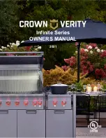 CROWN VERITY Infinite CV-IC1 Owner'S Manual preview