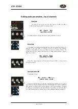 Preview for 17 page of D.A.S. DSP-2060A User Manual