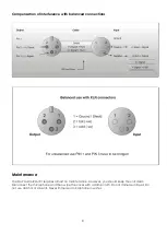 Preview for 10 page of DAPAudio RM-101 User Manual