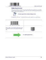 Preview for 63 page of Datalogic Gryphon I GD4100 Product Reference Manual