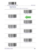 Preview for 261 page of Datalogic Gryphon I GD4100 Product Reference Manual