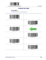 Preview for 281 page of Datalogic Gryphon I GD4100 Product Reference Manual