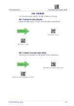 Preview for 189 page of Datalogic Gryphon I GD4400 Product Reference Manual