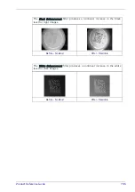 Preview for 171 page of Datalogic Matrix 300N Product Reference Manual