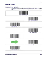 Preview for 252 page of Datalogic PD7110-BB Product Reference Manual