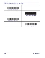 Preview for 140 page of Datalogic QuickScan L QD 2300 Product Reference Manual