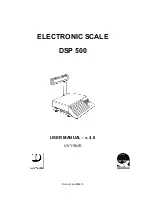 Preview for 1 page of DATAPROCESS DSP 500 User Manual