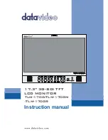 Datavideo TLM-170G Instruction Manual preview