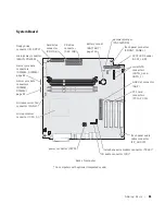 Preview for 81 page of Dell Dimension 8300 Series User Manual