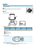 Delta Electronics Igniter IGT005 Specification Sheet preview