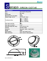 Delta Electronics SR0224-12-DT-A0 Specifications preview