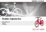 Preview for 194 page of Derby cycle Pedelec Impulse Evo User Manual