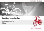 Preview for 258 page of Derby cycle Pedelec Impulse Evo User Manual