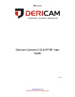 Dericam CGI User Manual preview