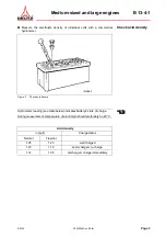 Preview for 247 page of Deutz TBD 616 OEM Operating Instructions Manual