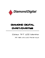 Diamond Digital DIAMOND DIGITAL DV197 Manual preview