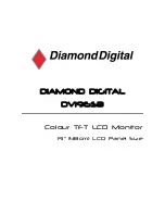 Diamond Digital DV1965B User Manual preview