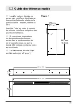 Preview for 45 page of Dimplex BLF7451-INT Owner'S Manual