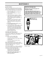 Preview for 37 page of Dixon BLACK BEAR 34/ 968999564 Operator'S Manual