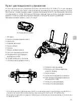 Preview for 75 page of dji MAVIC 2 PRO Quick Start Manual