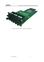 Preview for 20 page of DPtech LSW5003 Series Installation Manual