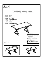 Dwell 105711 Manual preview