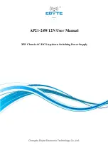 Ebyte AP21-24W12N User Manual preview