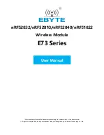 Ebyte E73 2G4M04S1B User Manual preview