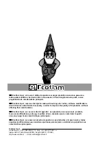 Preview for 40 page of Ecoflam BLU 1700.1 P AB Manual