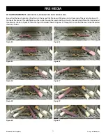 Preview for 56 page of Element4 Direct Vent Gas Fireplace Installation, Operation And Owner'S Manual