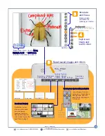 Preview for 4 page of Elmo CRA-1 Quick Training Manual