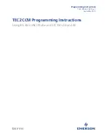 Emerson BETTIS TEC2 CCM Programming Instructions Manual preview