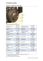 Preview for 41 page of Emerson Copeland 4MSL-03 Application Manuallines