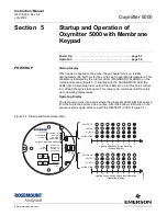 Preview for 75 page of Emerson Oxymitter 5000 Instruction Manual