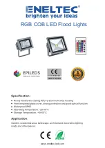 Preview for 1 page of Eneltec ENFL-10W-01RGB Manual