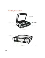 Preview for 22 page of Epson 1640XL - Expression Graphic Arts User Manual