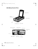 Preview for 21 page of Epson 1680 - Expression Special Edition User Manual