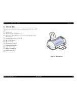 Preview for 10 page of Epson 785EPX - Stylus Photo Color Inkjet Printer Service Manual