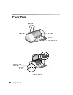 Preview for 40 page of Epson C11C418001 - Stylus C60 Inkjet Printer Printer Basics Manual