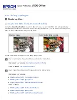 Preview for 117 page of Epson V500 User Manual