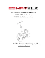 ESWAY ES1350 User Manual preview