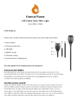 Eternal Flame EF001S User Manual preview