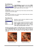 Preview for 25 page of FAE Professional Desktop Scanner User Manual