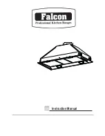 Falcon L1 400370 Instruction Manual preview