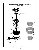 Preview for 41 page of Fanimation Tropicana FP1600 Series Owner'S Manual