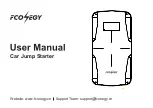 FCONEGY FC100 User Manual preview